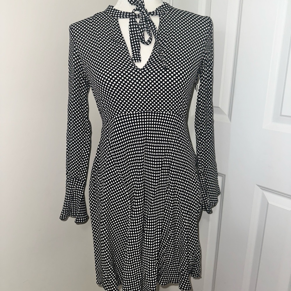 Zara polka dot dress 👩🏼‍🎨